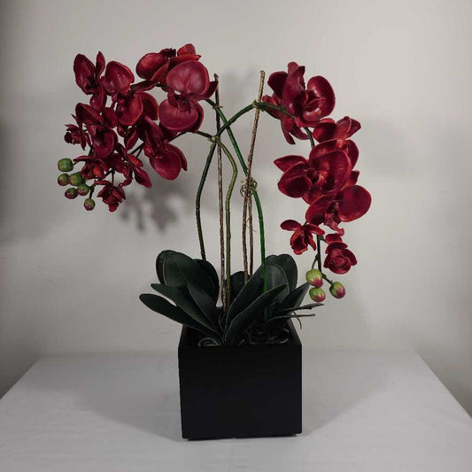 FAUX RED ORCHID