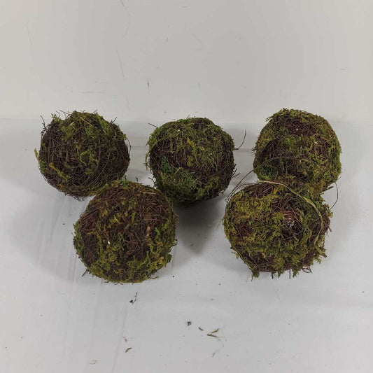 S/5 MOSS TWINE BALLS