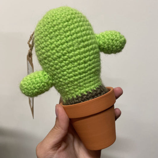 Potted Cactus