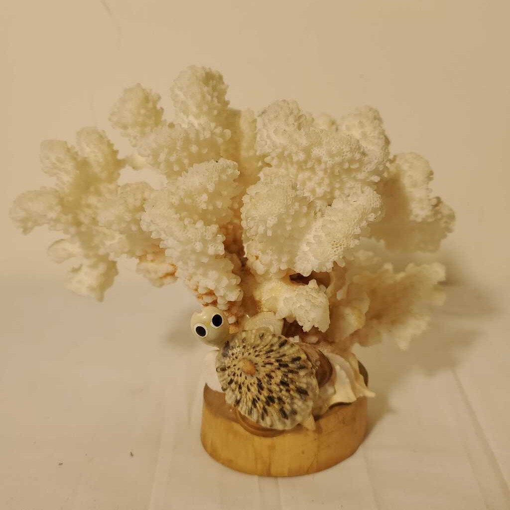 NATURAL WHITE CORAL WITH SHELL TURTLE