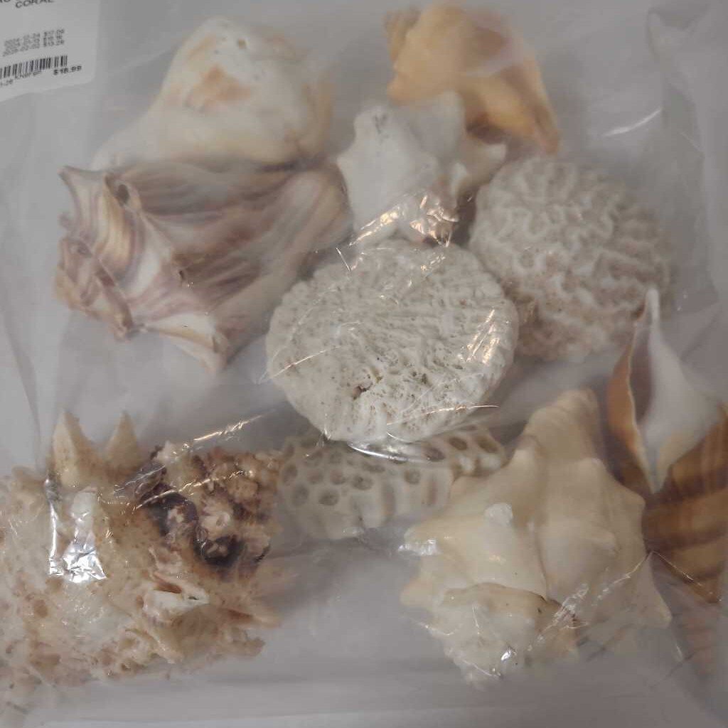 BAG OF SHELLS & CORAL