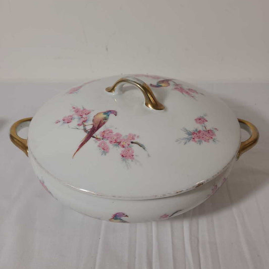 VTG EPIAG AICH COVERED BOWL