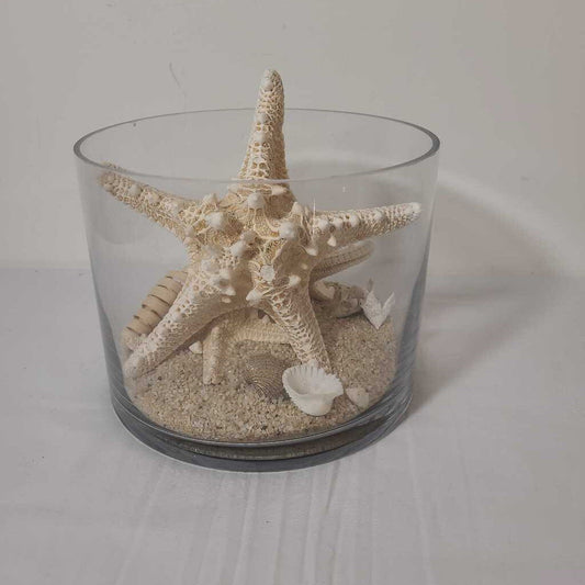 STARFISH IN GLASS BOWL