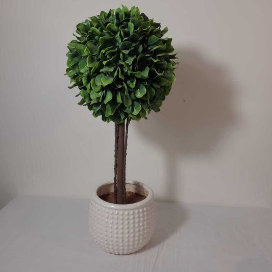 TOPIARY IN WHITE POT