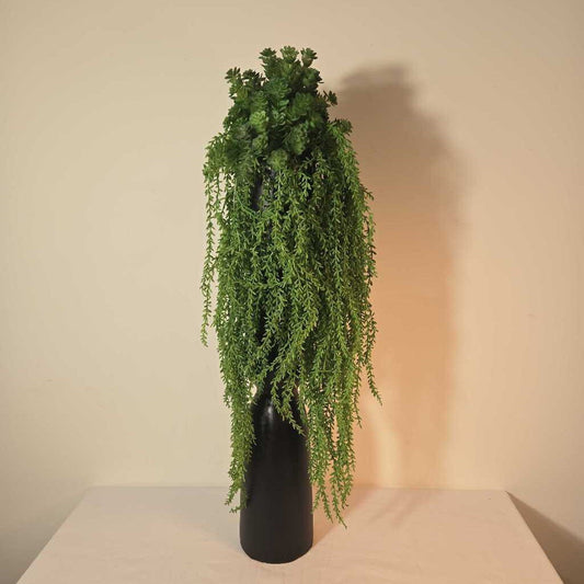 SEEDUM/TRAILING GREENERY IN TALL VASE