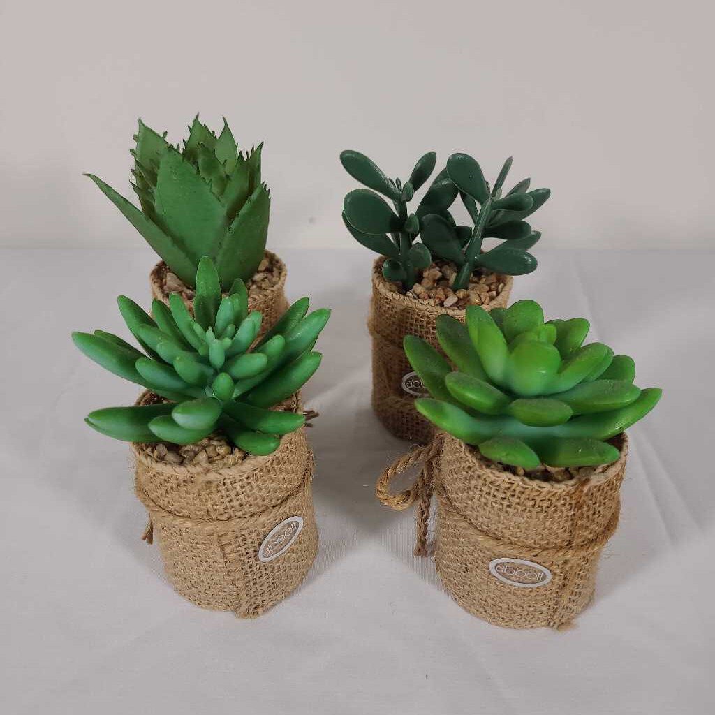 MINI SUCCULENT BURLAP WRAPPED