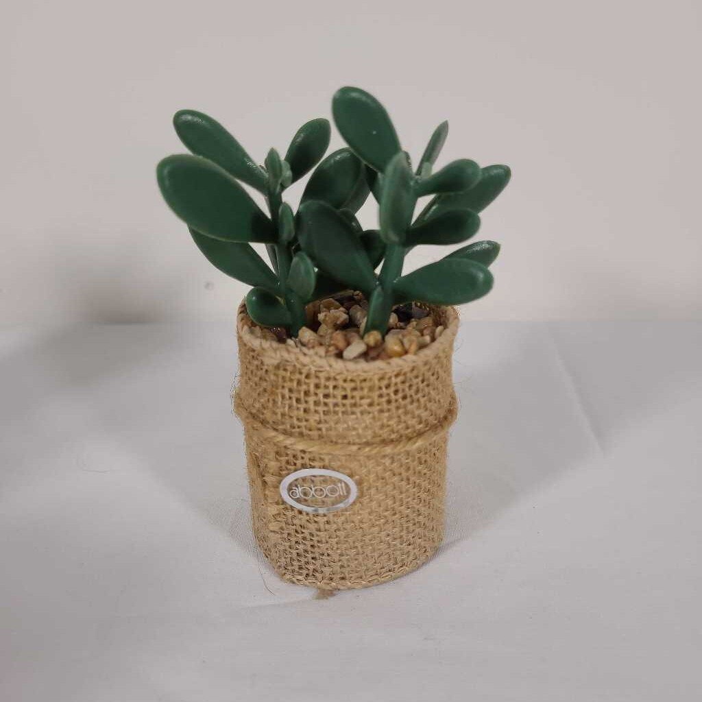 MINI SUCCULENT BURLAP WRAPPED