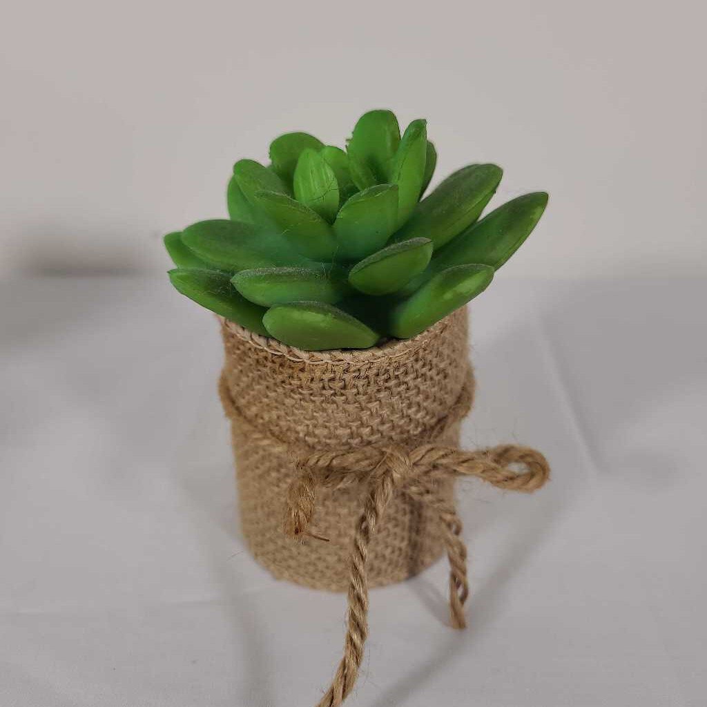 MINI SUCCULENT BURLAP WRAPPED