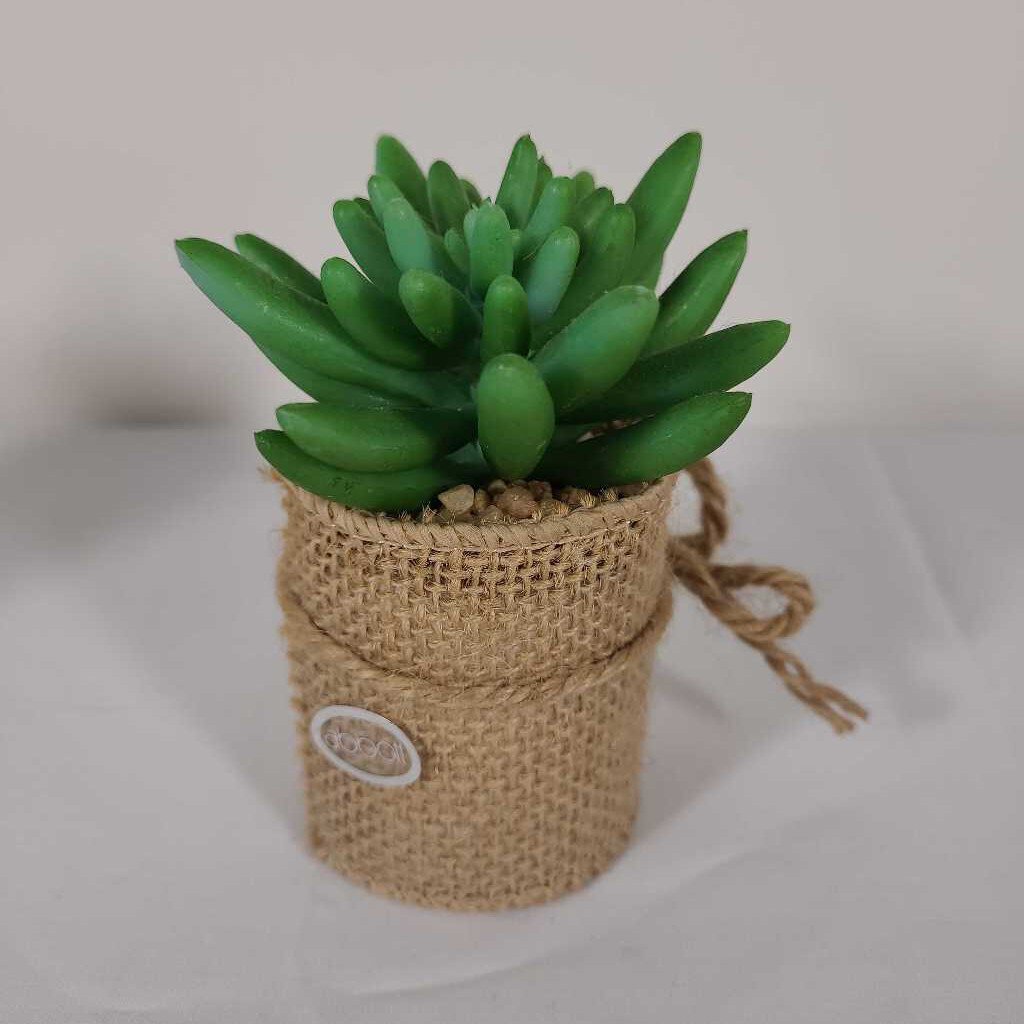 MINI SUCCULENT BURLAP WRAPPED