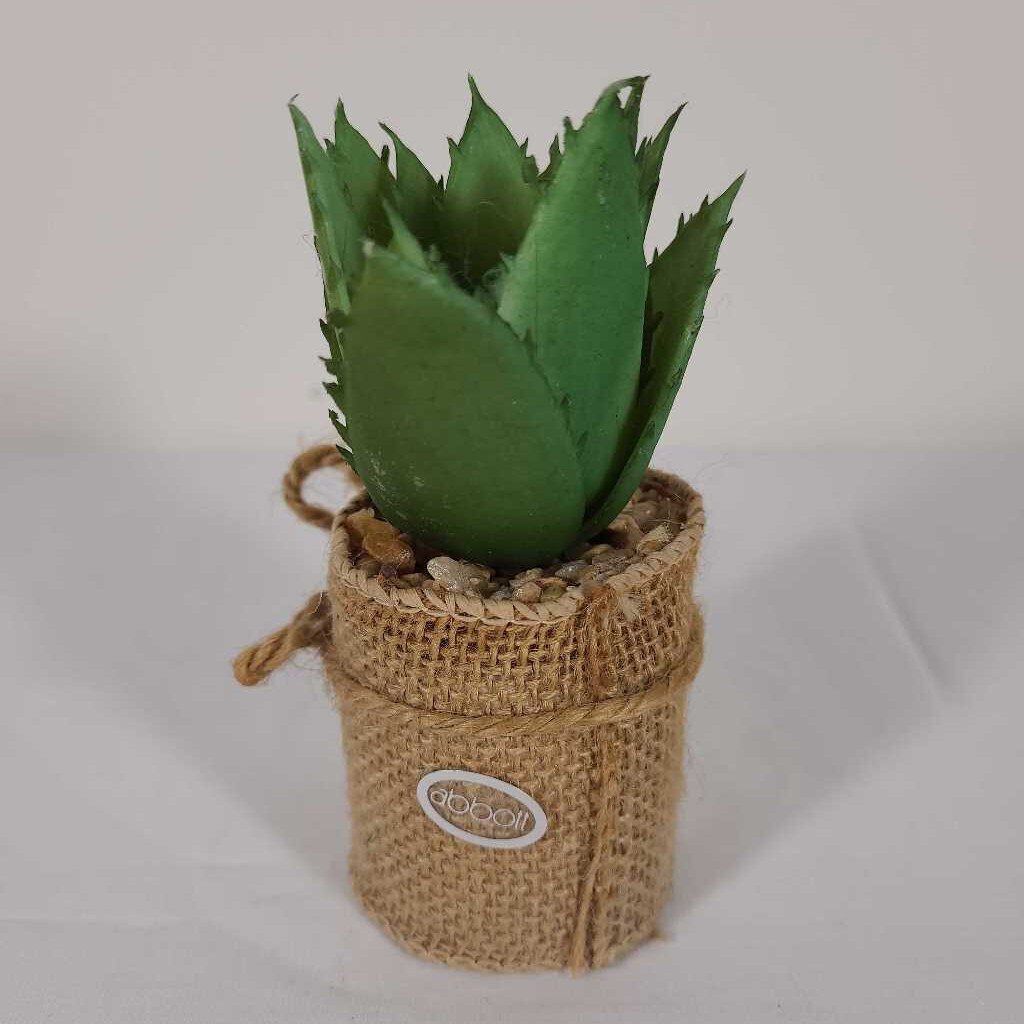 MINI SUCCULENT BURLAP WRAPPED