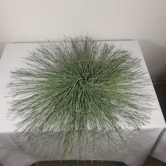 GREEN TWIG FLAT CENTERPIECE