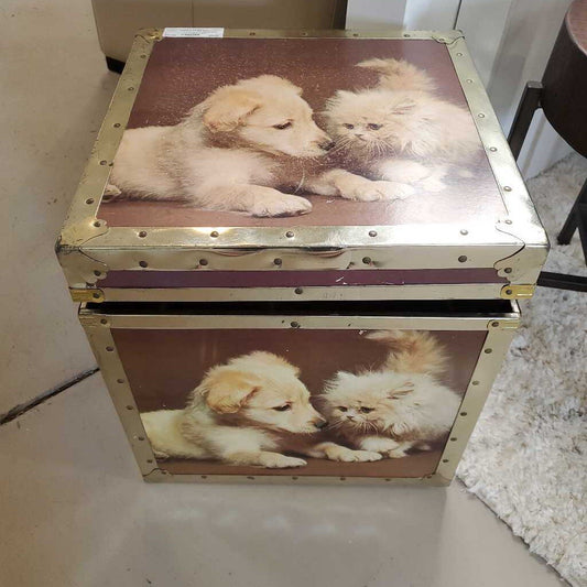 PUPPY & KITTEN BOX