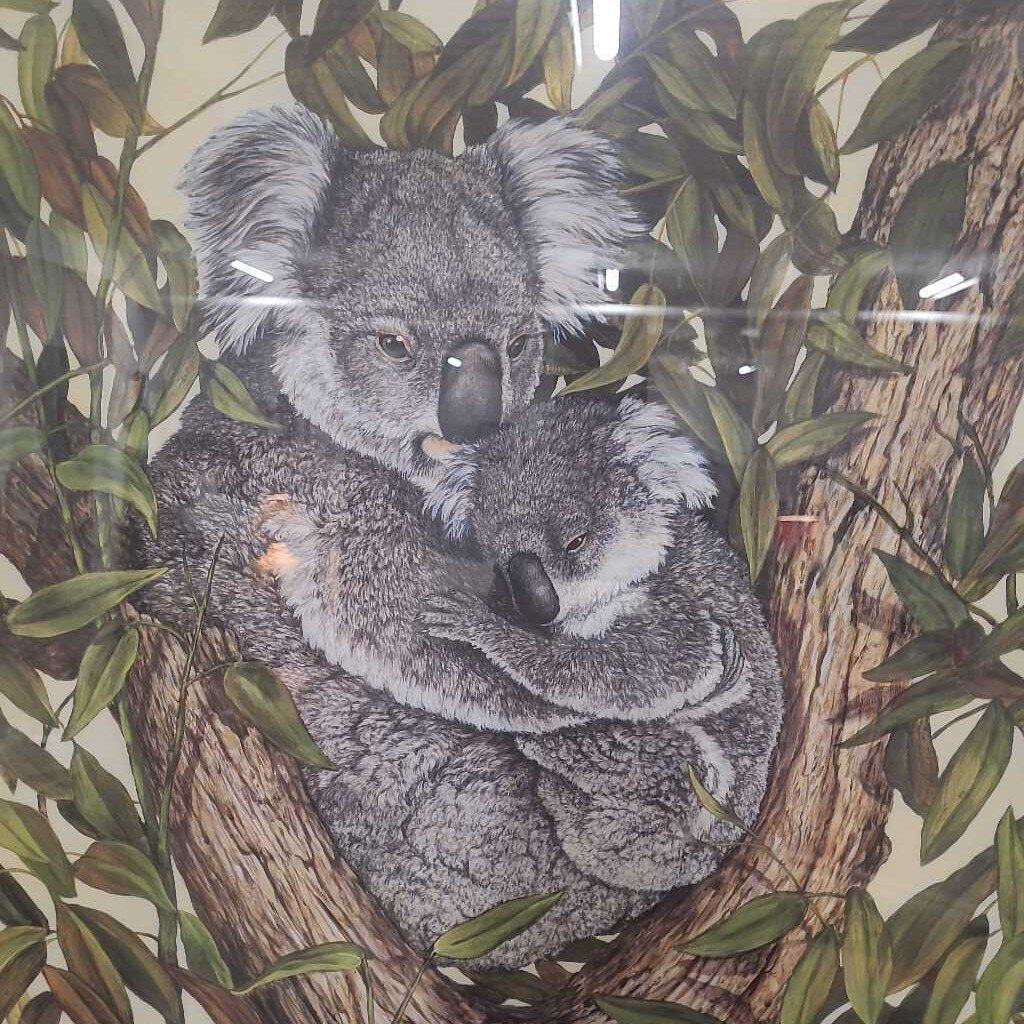 C.MARSHALL KOALA ARTIST PROOF