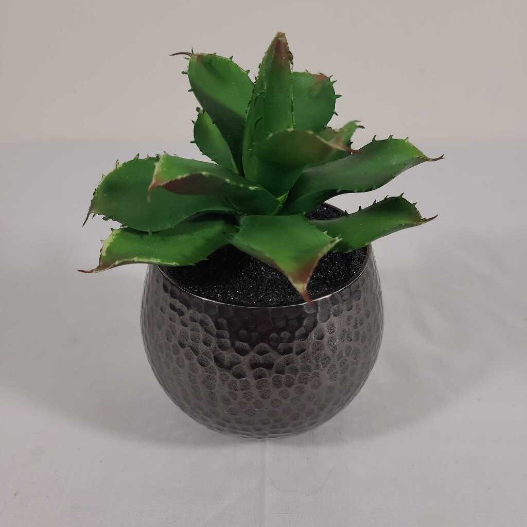 DARK DIMPLED CONTAINER W/SUCCULENT