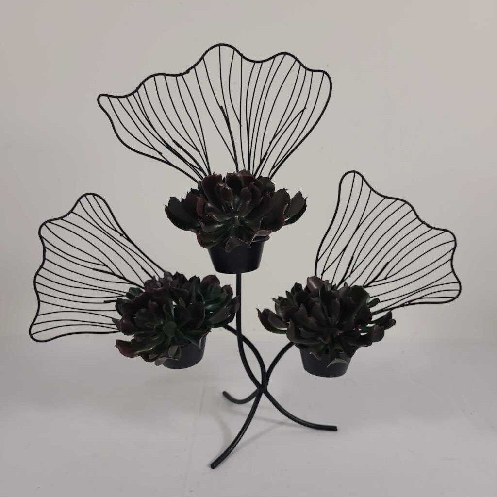 BLACK WIRE CLOVER W/FAUX SUCCULENTS