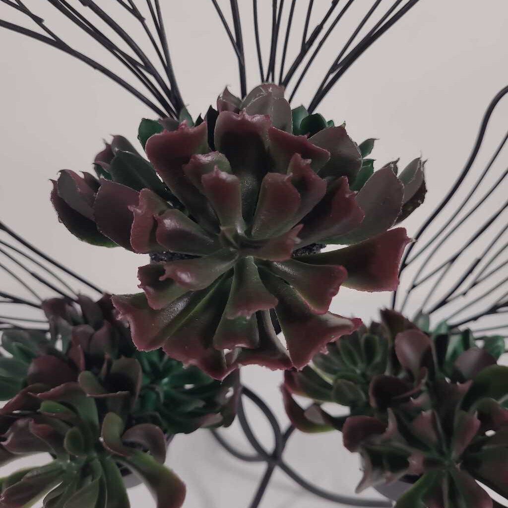 BLACK WIRE CLOVER W/FAUX SUCCULENTS