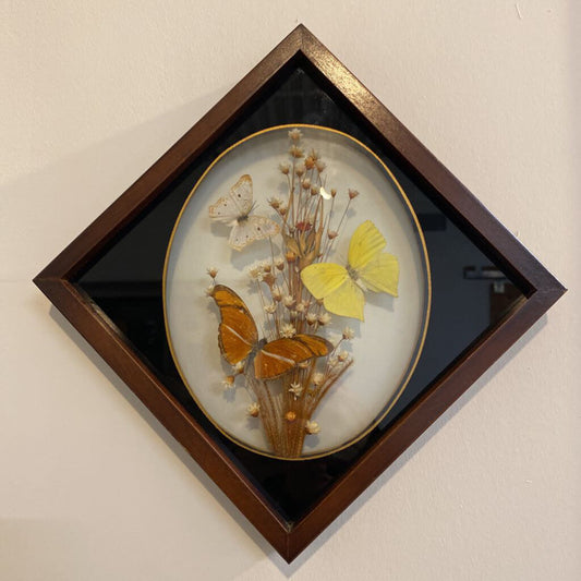 VTG FRAMED BUTTERFLIES/FLOWERS